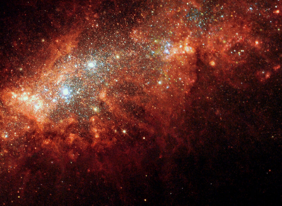 the stars